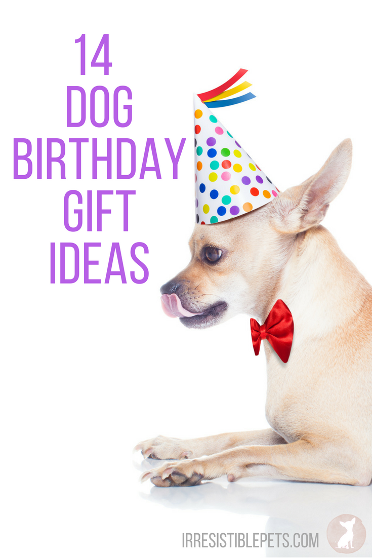 14 Dog Birthday Gift Ideas
