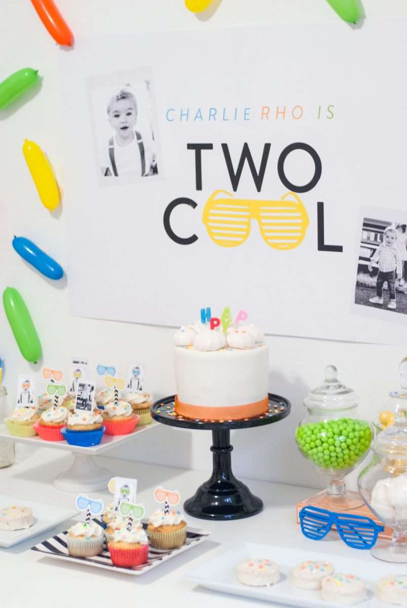 A Two Cool Birthday Party That