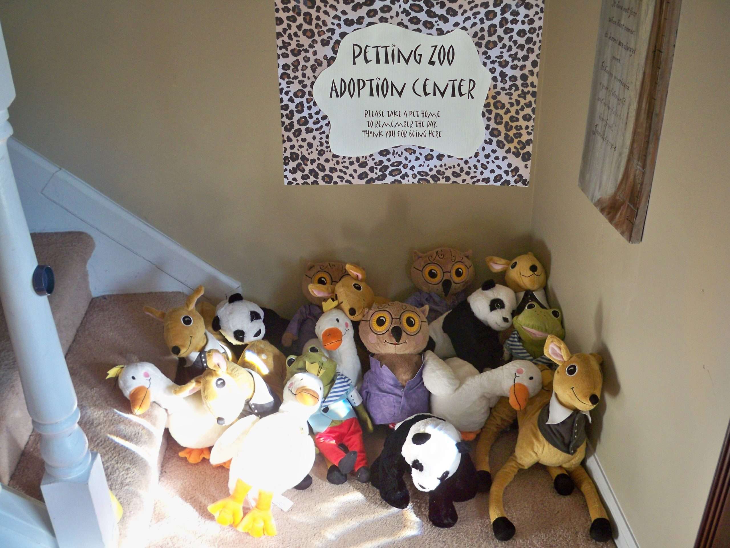 Animal themed birthday party toddler party Petting Zoo ...