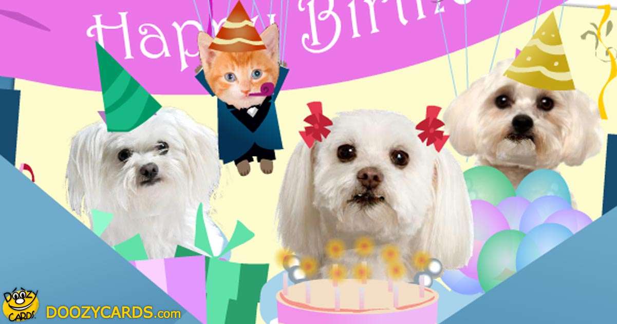 Birthday Greetings with Dogs