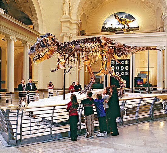 City Vacation: 10 Things to Do with Kids In Chicago, Illinois