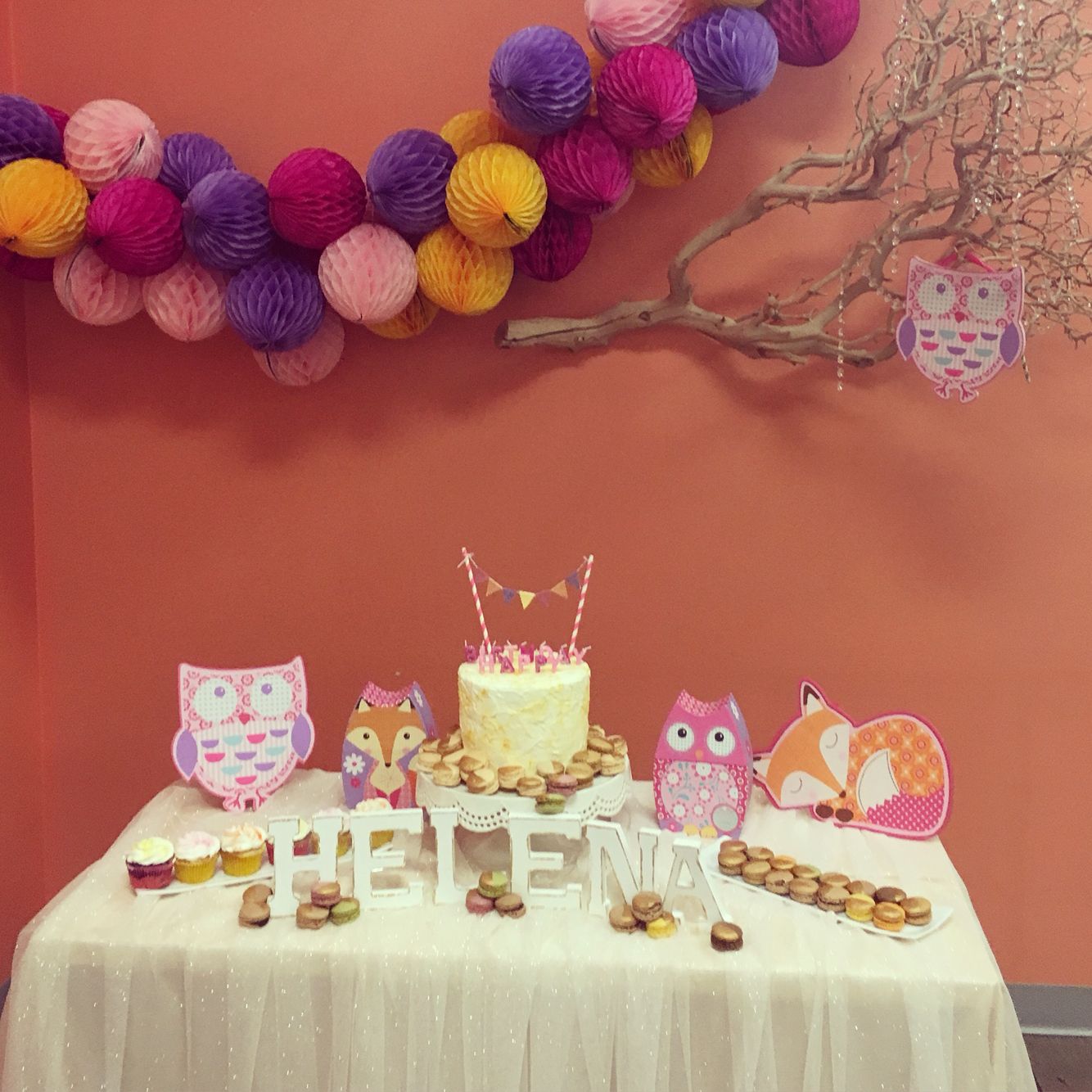 Dainty Owl/Fox themed party for my 8 year