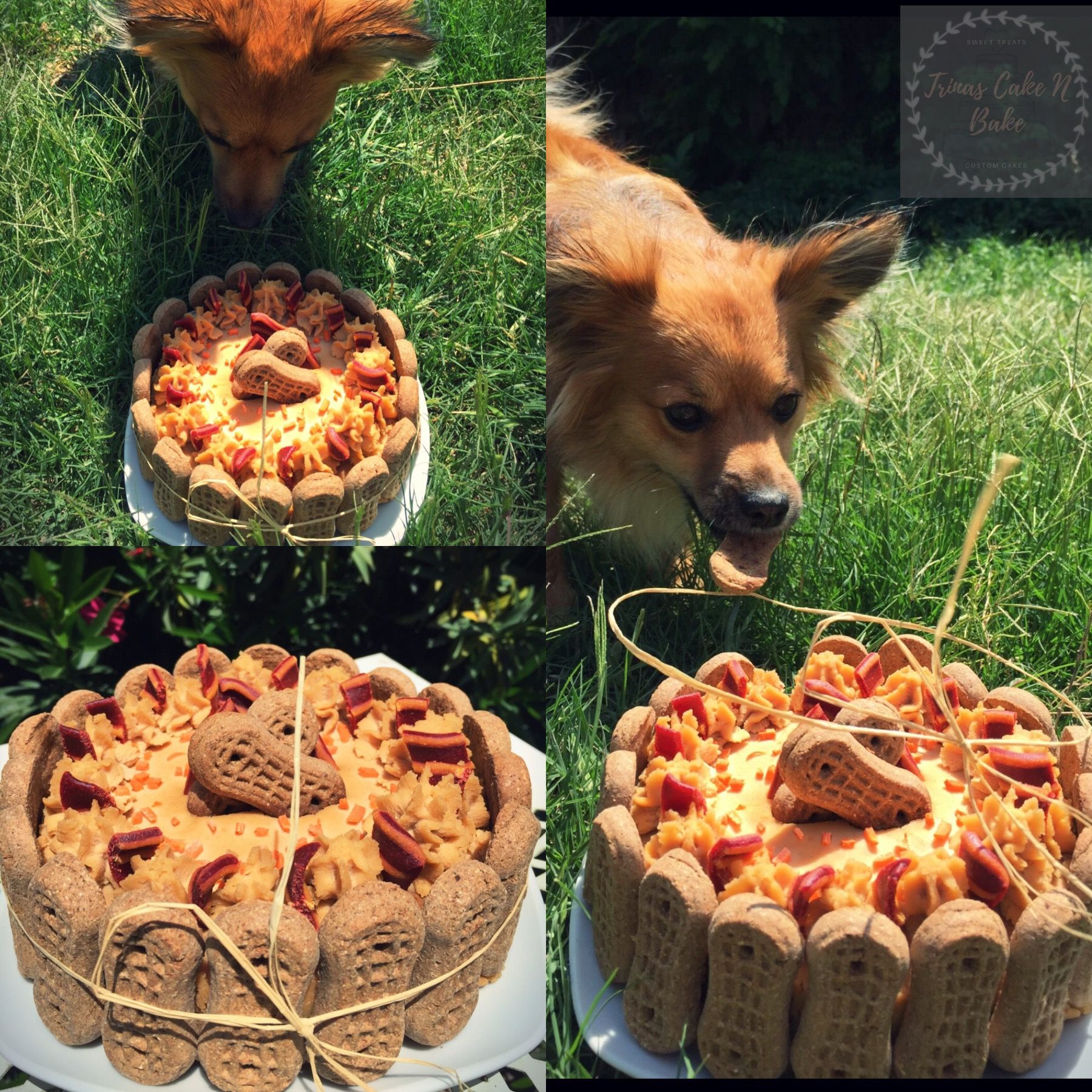 Dog safe peanut butter carrot cake