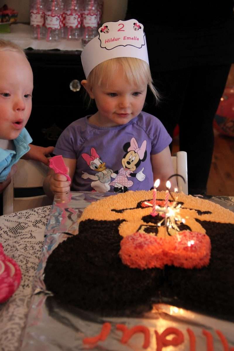 Family Life in The Land of Fire and Ice: 2 year old princess birthday ...