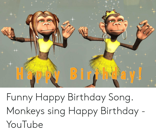 Happy Bir Ay! Funny Happy Birthday Song Monkeys Sing Happy ...