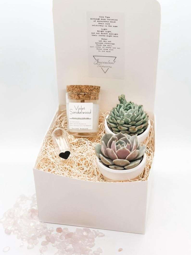 Happy Birthday Gift Box Succulent Gift box set Send a Gift ...