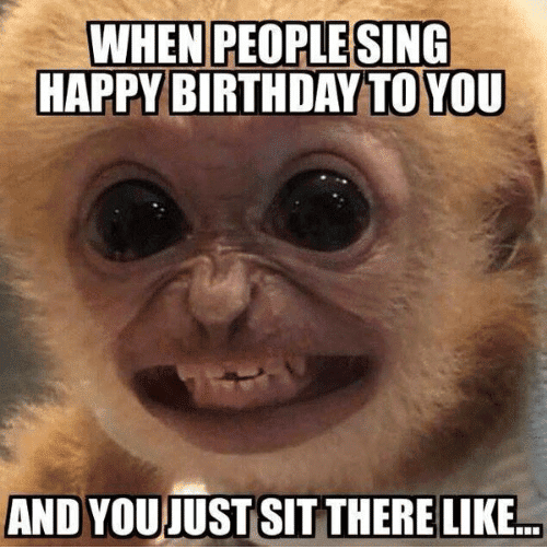 Happy Birthday Memes for Your Best Friend
