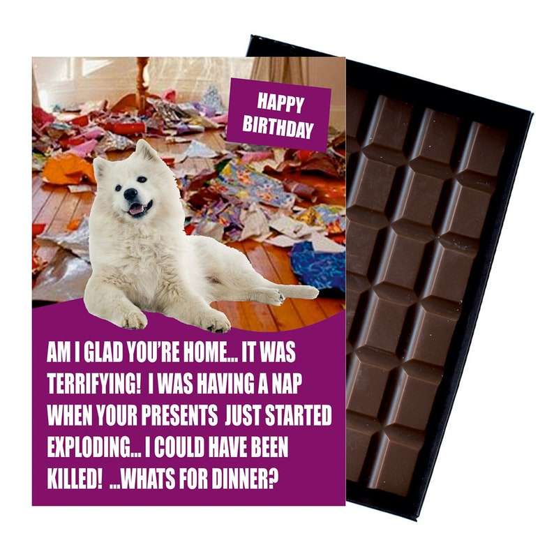 Samoyed Birthday Gift for Dog Lovers Funny Pedigree Owners 85g
