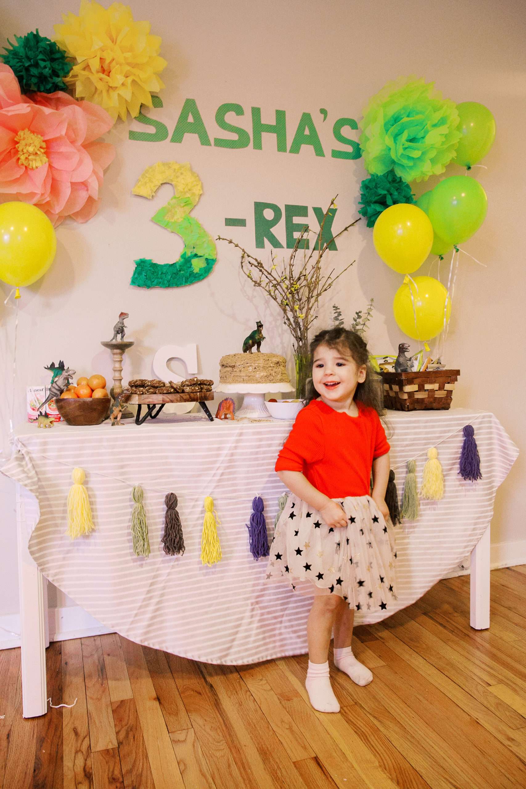 ULTIMATE GUIDE TO A SUCCESSFUL DIY DINOSAUR BIRTHDAY PARTY AT HOME FOR ...