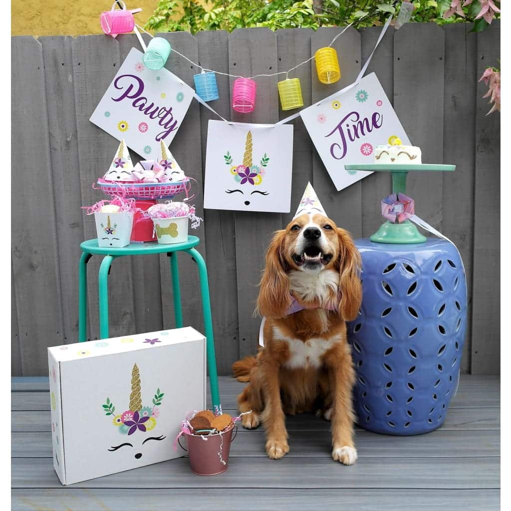 Unicorn Dog Birthday Party Box